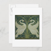 Carte Postale 'Swan, Rush et Iris' (Devant / Derrière)