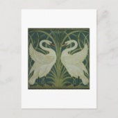 Carte Postale 'Swan, Rush et Iris' (Devant)