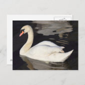 Carte Postale Swan sur un lac II (Devant / Derrière)