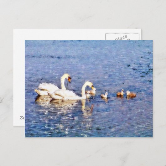 CARTE POSTALE SWANS (Devant / Derrière)