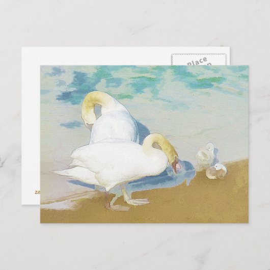 CARTE POSTALE SWANS (Devant / Derrière)