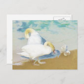 CARTE POSTALE SWANS (Devant / Derrière)