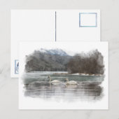 Carte postale Swans (Devant / Derrière)