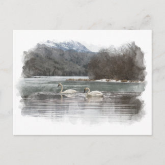 Carte postale Swans