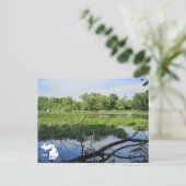 Carte Postale Swans de Metropark Oakland avec logo (Debout devant)