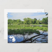 Carte Postale Swans de Metropark Oakland avec logo (Devant / Derrière)