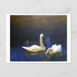 Carte Postale Swans in Reeds (1907) de Bruno Liljefors.