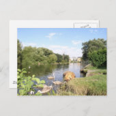 Carte Postale Swans on River Liffey Dublin (Devant / Derrière)
