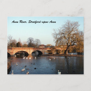 Carte Postale Swans on the River Avon, Stratford-upon-Avon