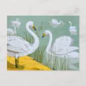 Carte Postale Swans par Verneuil (Devant)
