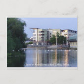 Carte Postale Swans sur River Barrow, Carlow Town, Irlande (Devant)