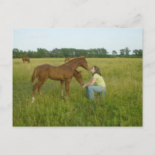 Carte postale Swapping Spiritueux