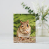 Carte postale Sweet Baby Chipmunk (Debout devant)