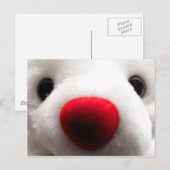 Carte postale Sweet Bear (Devant / Derrière)