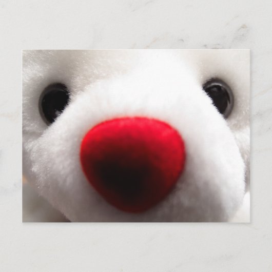 Carte postale Sweet Bear (Devant)