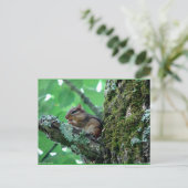 Carte Postale Sweet Chipmunk dans un arbre Vêtements et cadeaux (Debout devant)