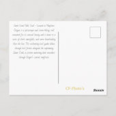 Carte postale Sweet Creek Falls Oregon (Dos)