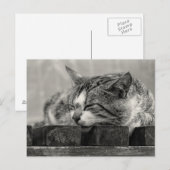 Carte Postale Sweet Dream (Devant / Derrière)