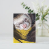 Carte Postale Sweet Dreams (Debout devant)