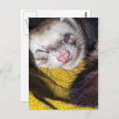 Carte Postale Sweet Dreams (Devant / Derrière)