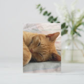 Carte Postale Sweet Dreams (Debout devant)