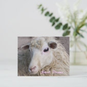 Carte postale Sweet Dreams (Debout devant)