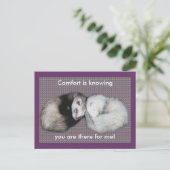 Carte Postale Sweet Dreams Ferrets (Debout devant)