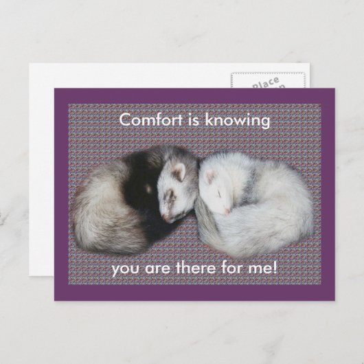 Carte Postale Sweet Dreams Ferrets (Devant / Derrière)