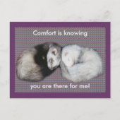 Carte Postale Sweet Dreams Ferrets (Devant)