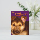 Carte postale Sweet Halloween (Debout devant)