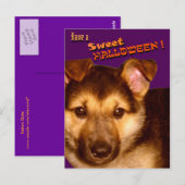 Carte postale Sweet Halloween (Devant / Derrière)