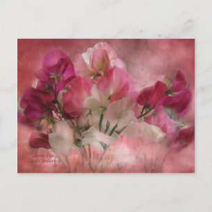 Carte Postale Sweet Peas Postcard