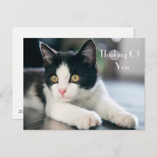 Carte Postale Sweet "Penser à vous" Tuxedo Kitten Salutation (Devant / Derrière)