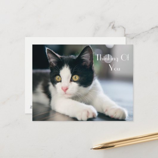Carte Postale Sweet "Penser à vous" Tuxedo Kitten Salutation (Devant/Arrière en situation)