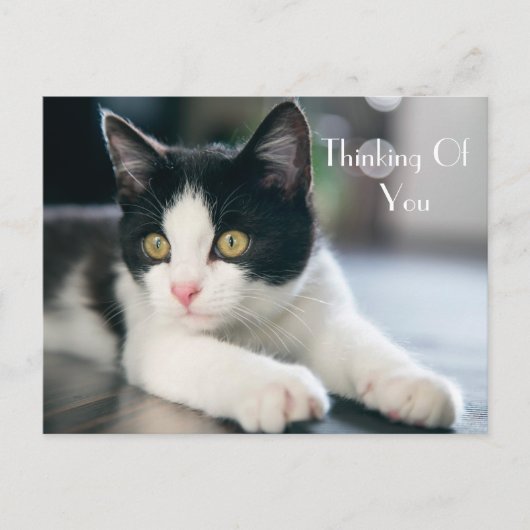 Carte Postale Sweet "Penser à vous" Tuxedo Kitten Salutation (Devant)