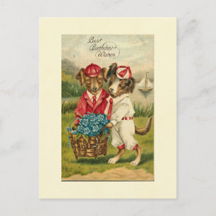 Carte Postale Sweet Pups Meilleurs voeux d'anniversaire