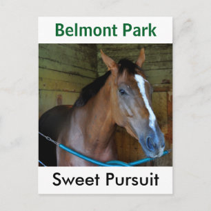 Carte Postale Sweet Pursuit par Posse