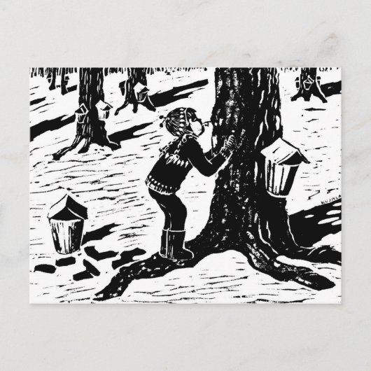 Carte postale Sweet Sap (Devant)