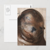 Carte postale Sweet Sea Lion (Devant / Derrière)