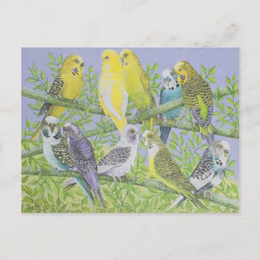 Carte Postale Sweet Talking (Devant)