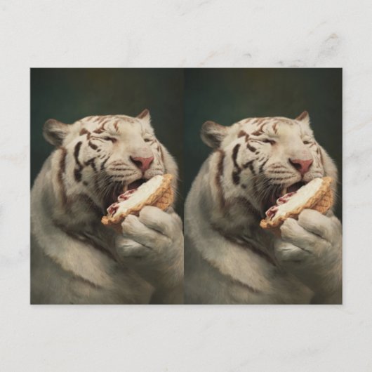 Carte Postale Sweet White Tiger Postcard – Whimsical Art (Devant)