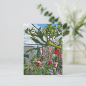 Carte postale Sweetpea Gala (Debout devant)