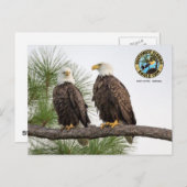 Carte postale SWFLEagleCam (Devant / Derrière)