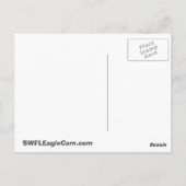 Carte postale SWFLEagleCam (Dos)