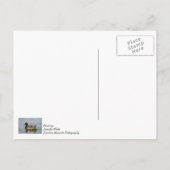 Carte Postale Swim Mallard Swim (Dos)