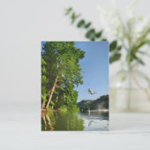 Carte Postale Swing de corde du lac Ladybird - Austin Texas (Debout devant)