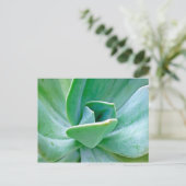 Carte Postale Swirl Succulent (Debout devant)