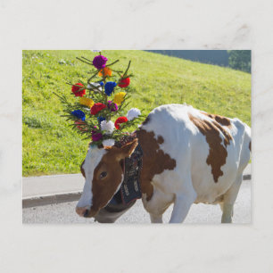 Carte postale Swiss Cow