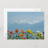 Carte Postale switzerland-16800 (Devant / Derrière)