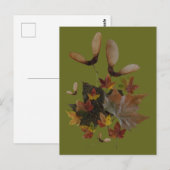 Carte Postale Sycamore Maple Feuilles Collage do-it-yourself car (Devant / Derrière)